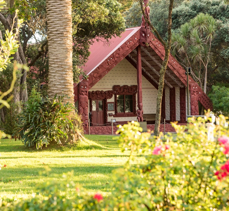 Custom Bay of Islands Scenic Tours
