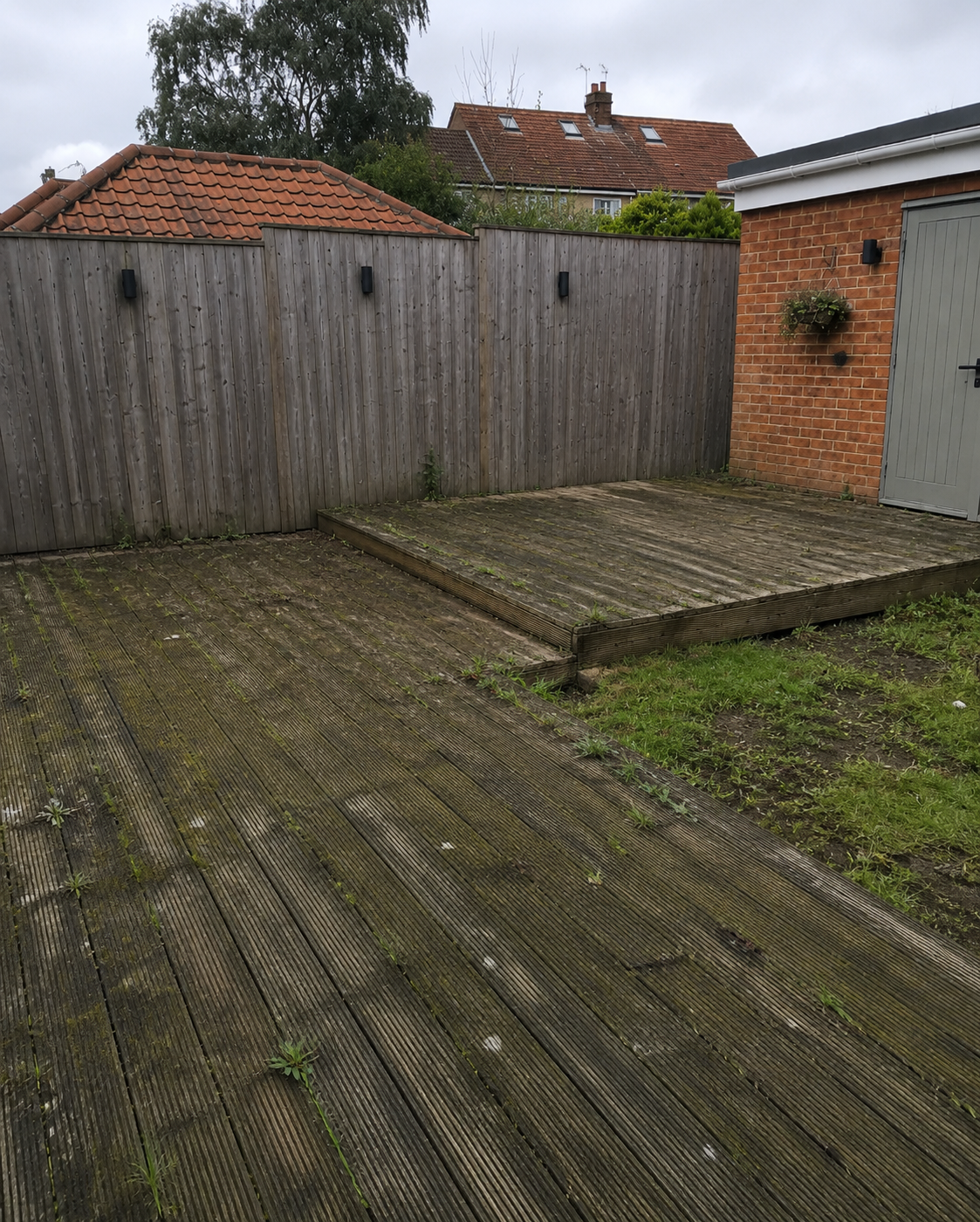 Garden transformation - before