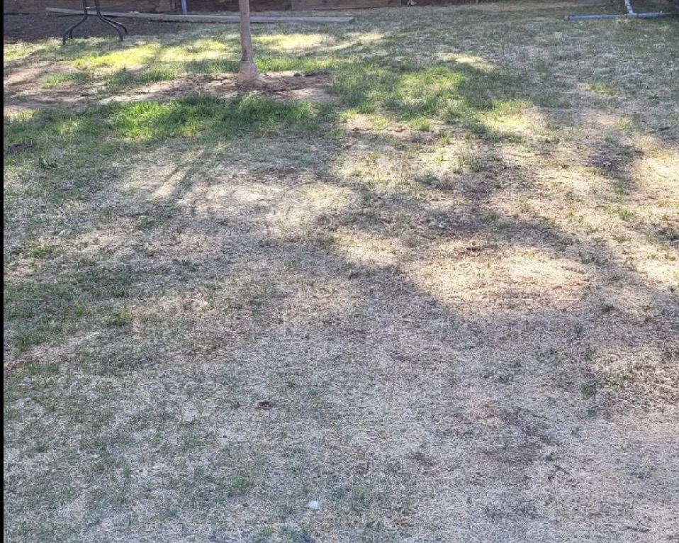 Junk removal job photo 3