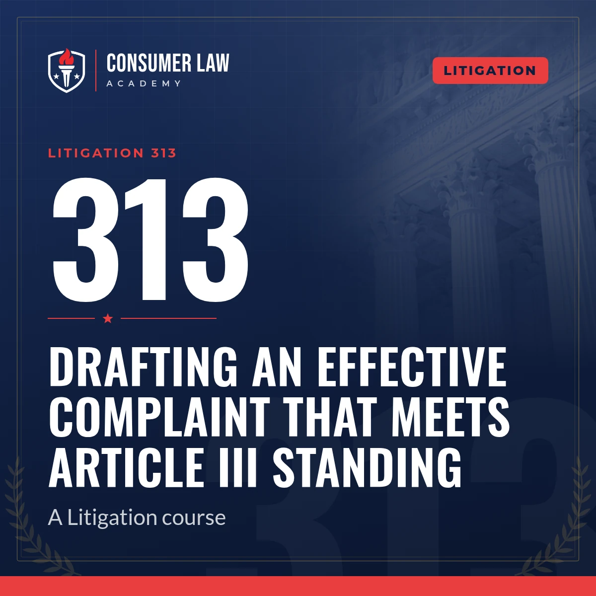 Litigation 313: Drafting an Effective Complaint that Meets Article III Standing course cover
