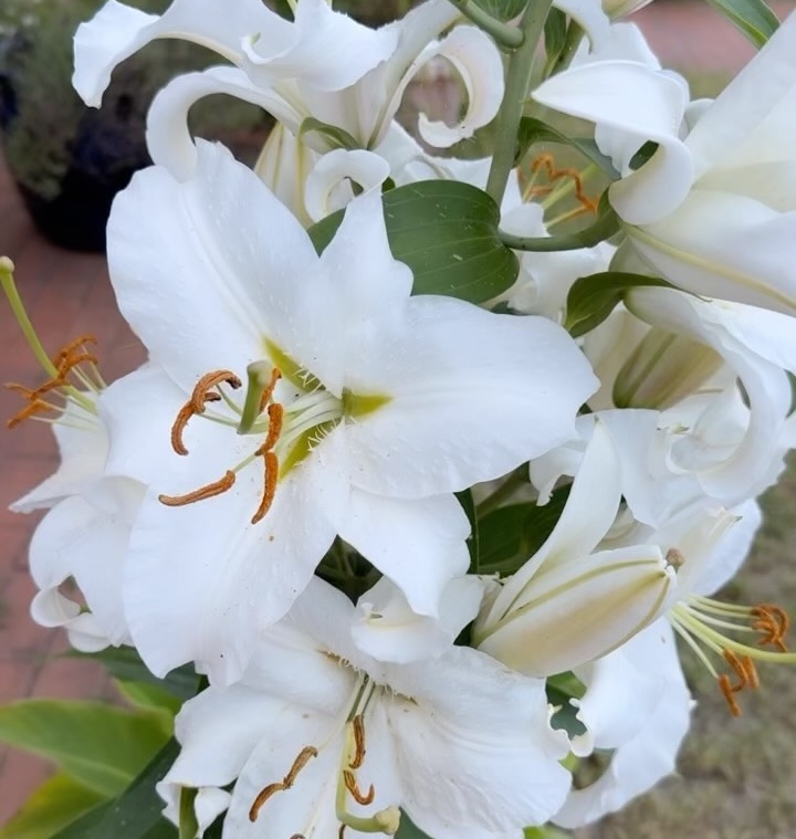 Beauty Room Instagram 3