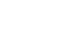 Barnes and Noble
