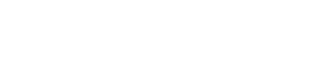 CEO