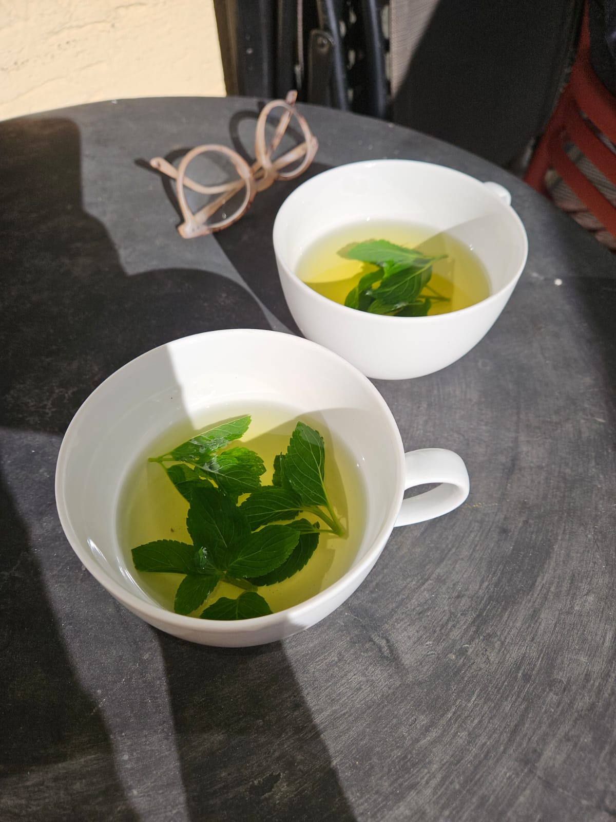 cup of herbal tea cup of herbal tea