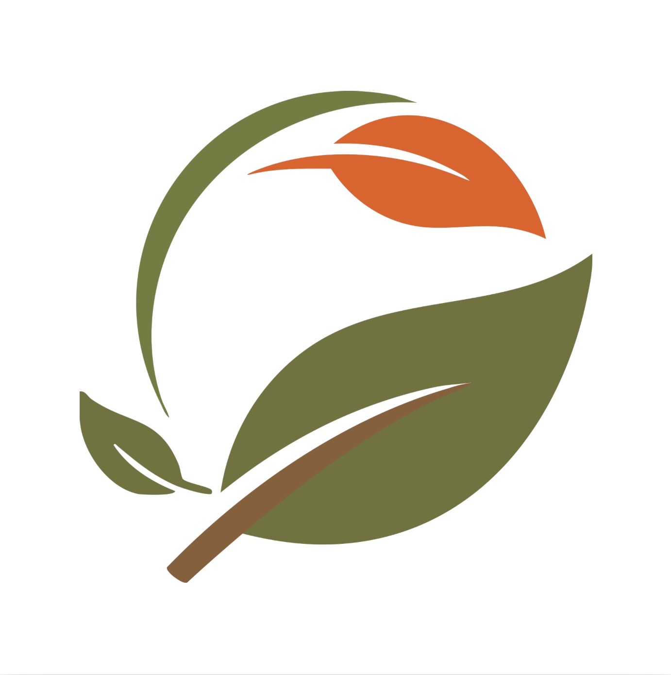 Tree Servicing Walkerville