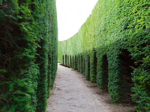 Large-Scale Hedge Management in Walkerville