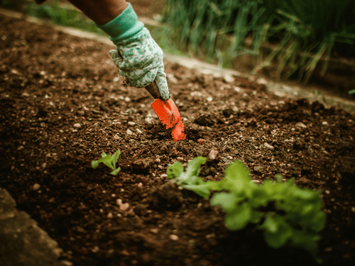 On-Site Green Waste Mulching in Walkerville