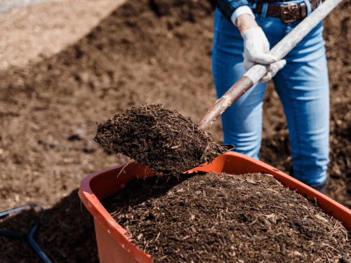 Arborist Mulch Supply & Delivery in Walkerville