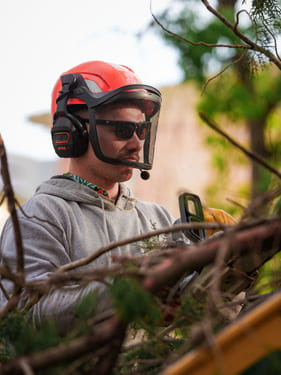 Stump Grinding Walkerville