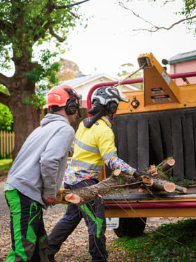 Arborist Mulch Supply & Delivery Walkerville