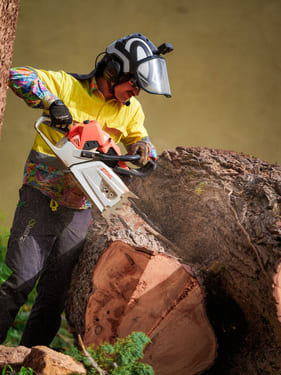 Palm Maintenance Walkerville
