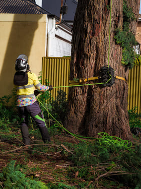 Habitat Creation Walkerville