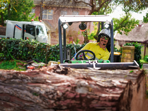 Large-Scale Hedge Management Walkerville