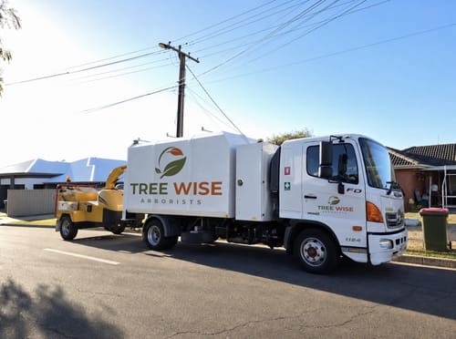 Articulated Loader & Operator Hire Walkerville