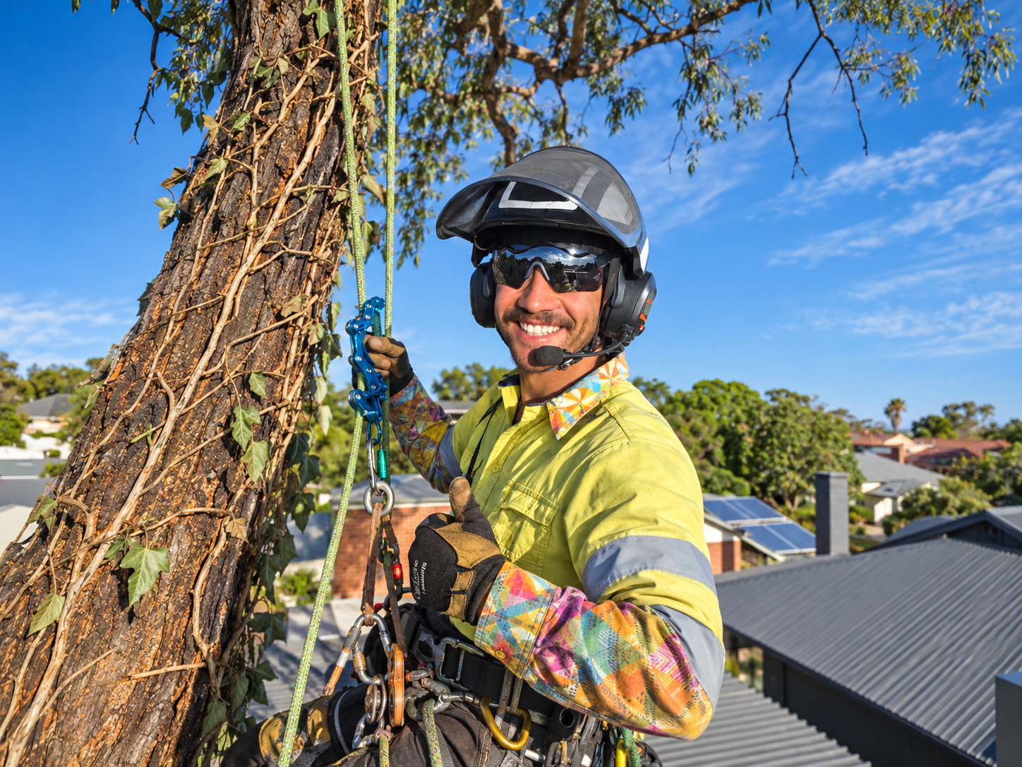 Tree Removal in Walkerville
