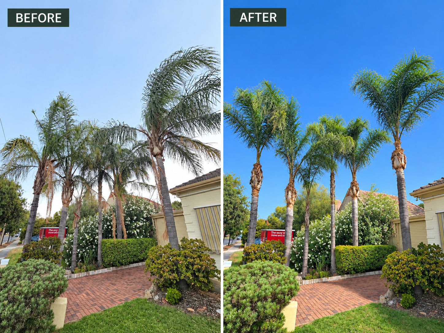 Tree Pruning & Crown Management Walkerville