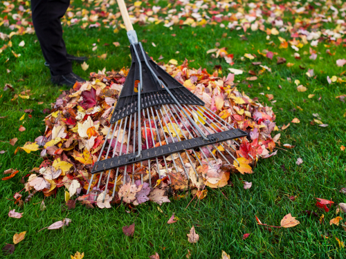 Fall Cleanup Services in Des Moines