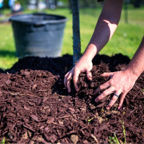 Waukee Mulch Bed Installation
