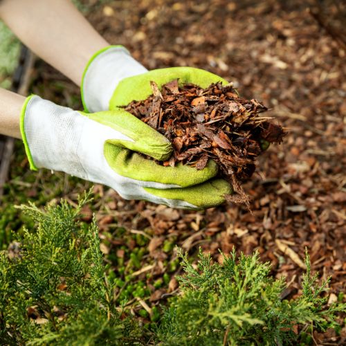 Des Moines Mulch Bed Installation