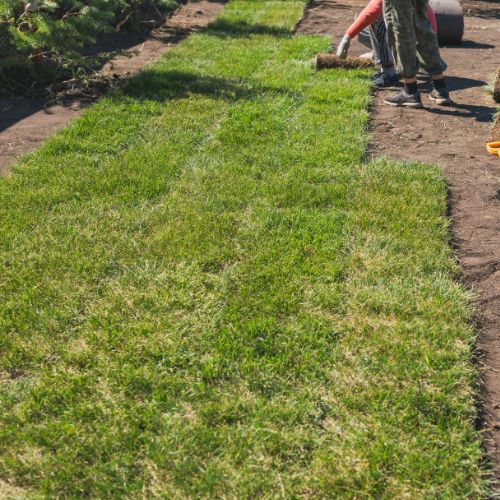 West Des Moines Sod Installation Services