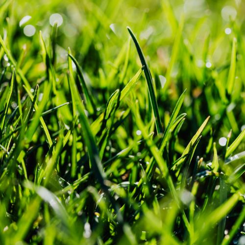  Retaining Wall Installation