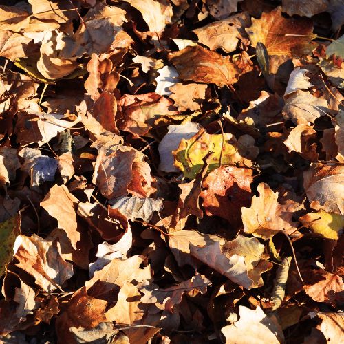  Retaining Wall Installation