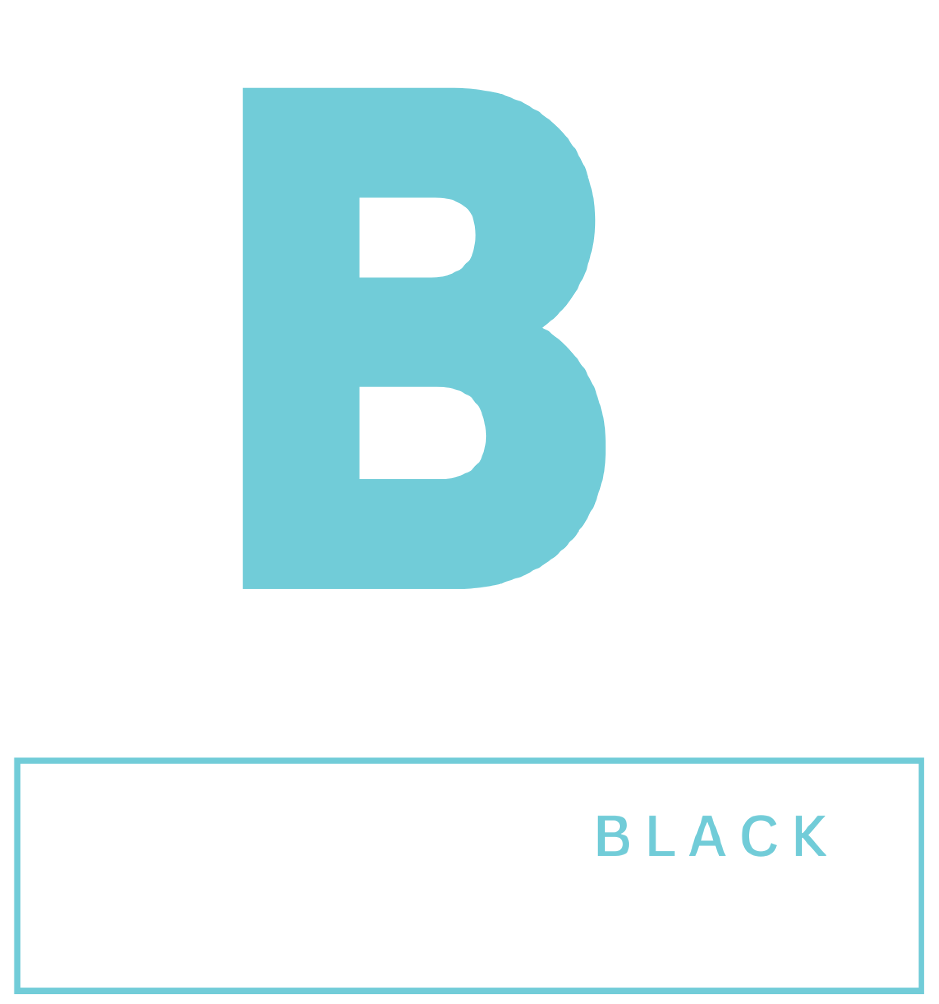 The B3 Project Logo