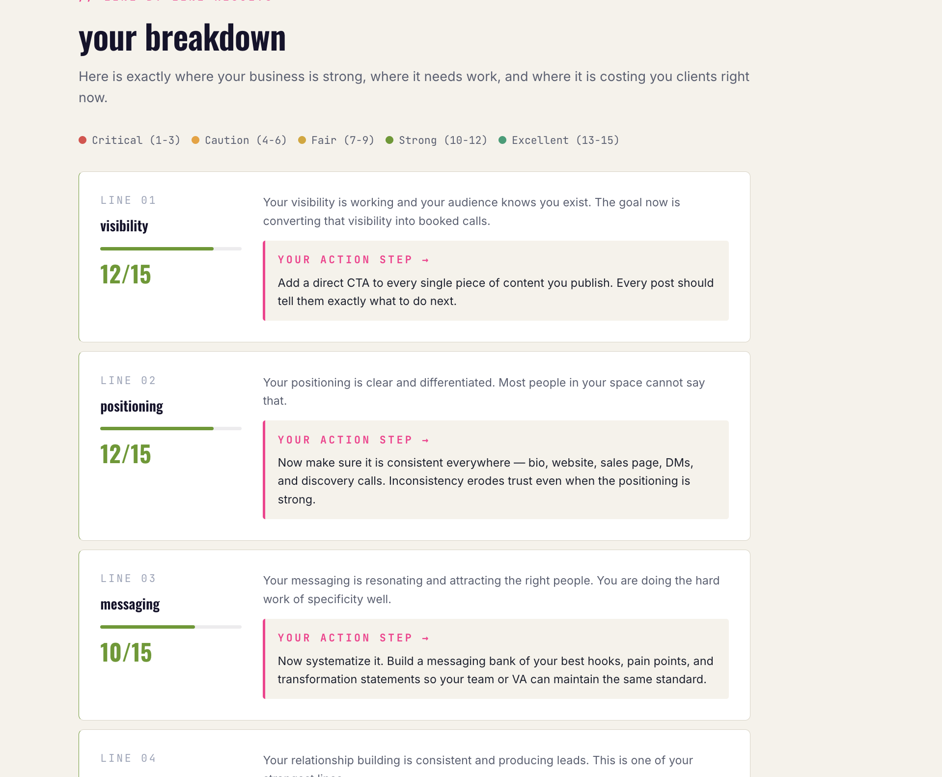 9-Line Business Audit results dashboard with line-by-line scores and action steps