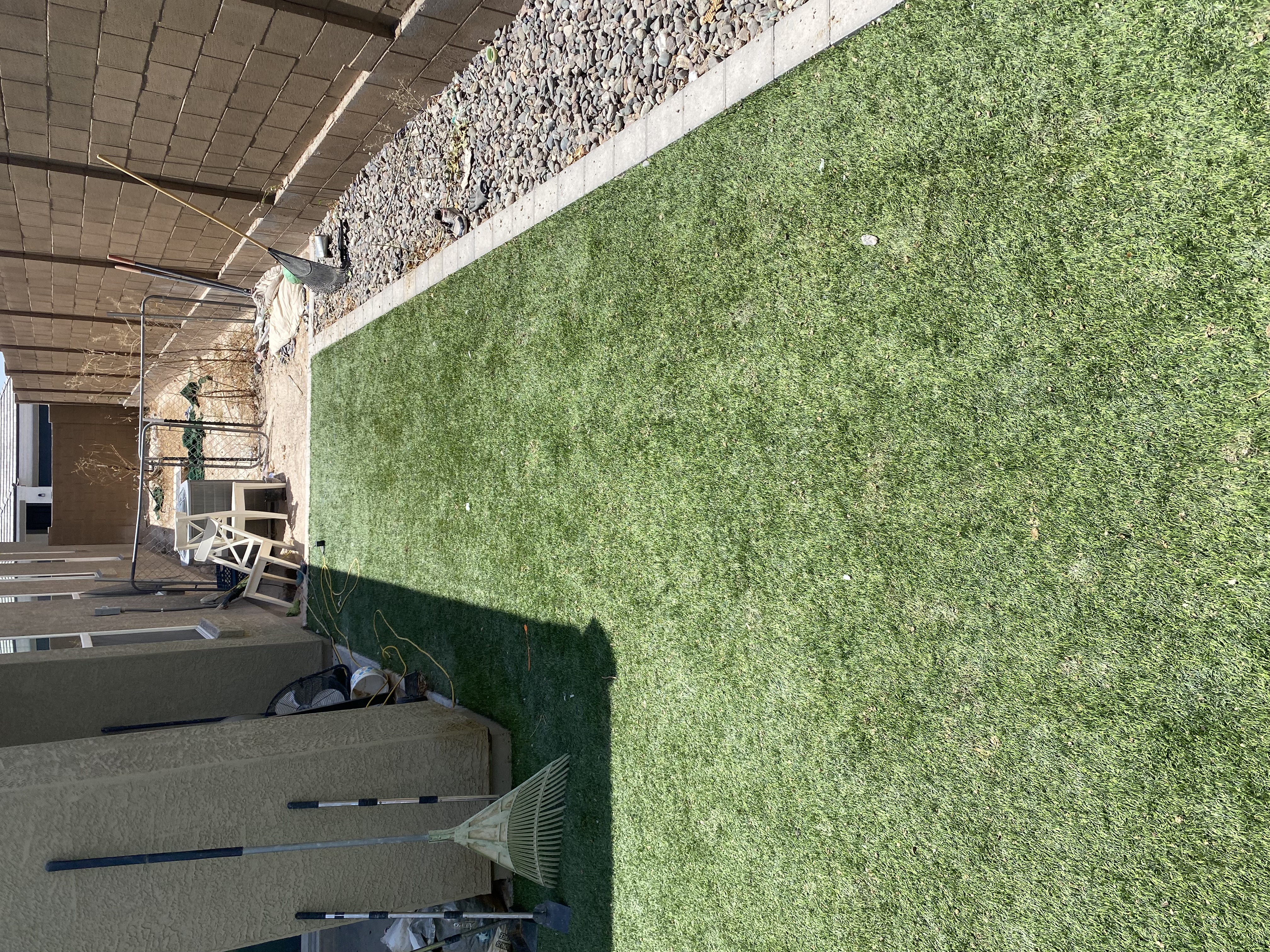 Clean yard after TC Dog Waste Removal service