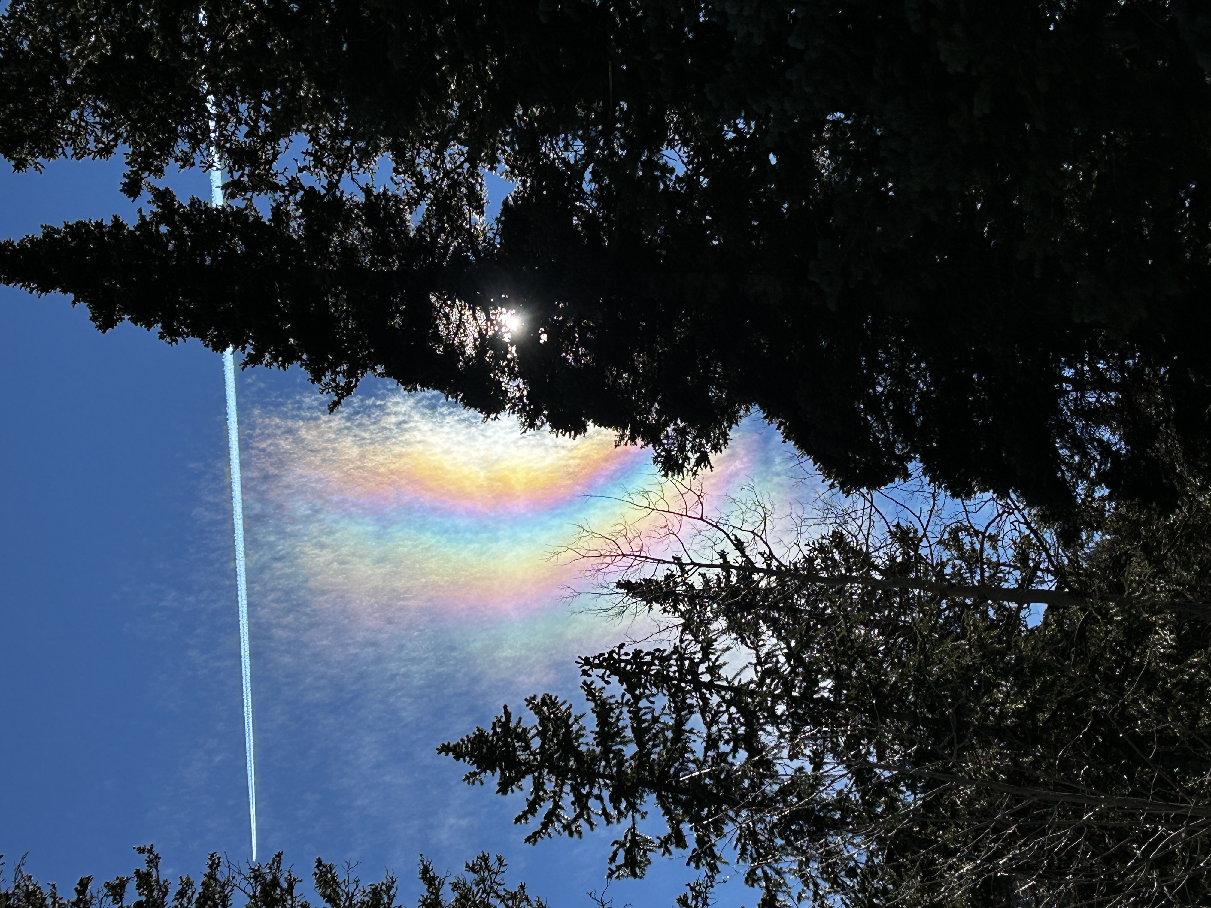an iridescent cloud in the mountains. 