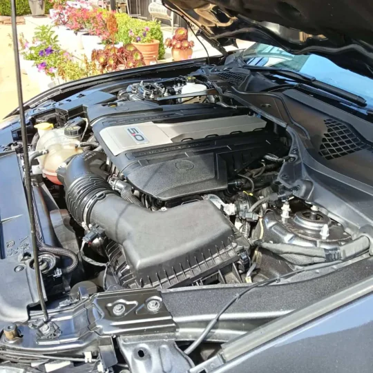 Engine bay detail