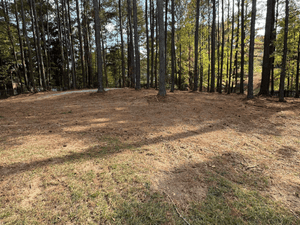 {{ custom_values.service_1 }} in {{custom_values.area_3})