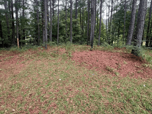 {{ custom_values.service_3 }} in {{custom_values.area_4})