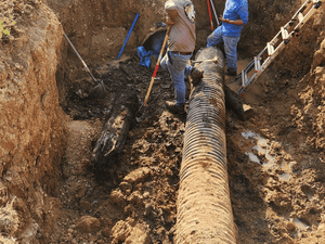 {{ custom_values.service_4 }} in {{custom_values.area_3})