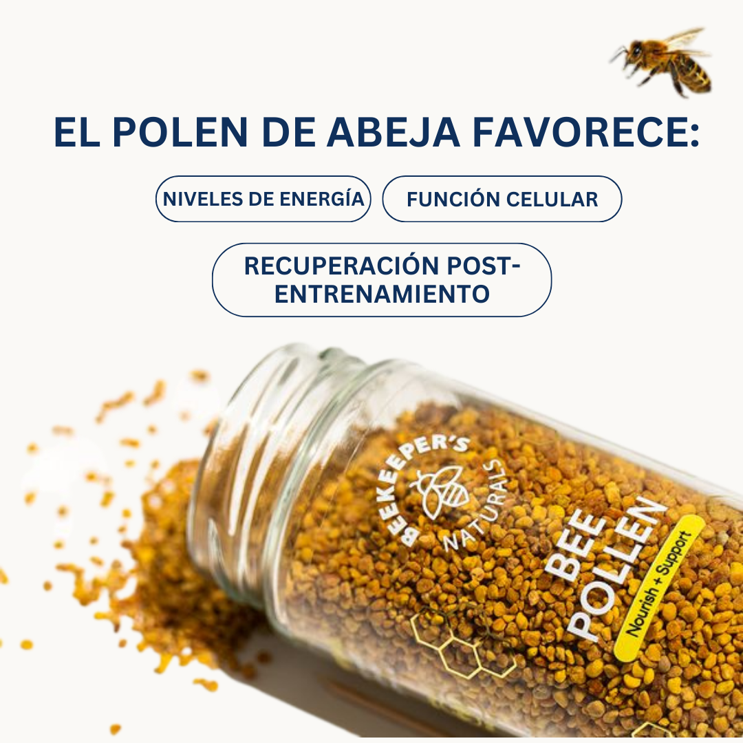 Descripción 4