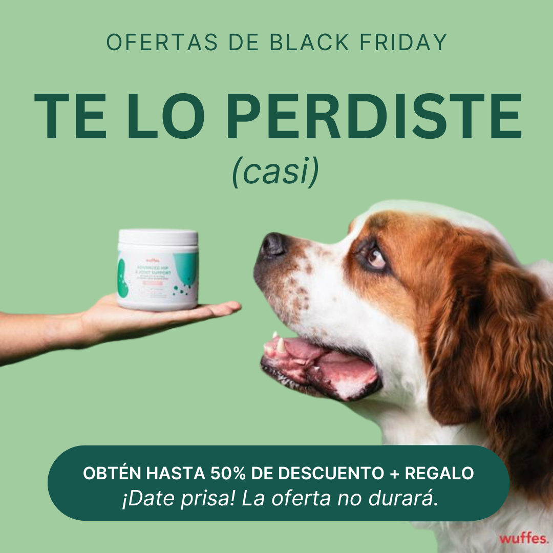 Descripción 6