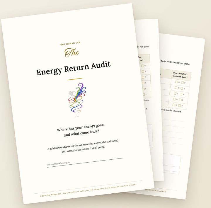 The Energy Return Audit workbook pages