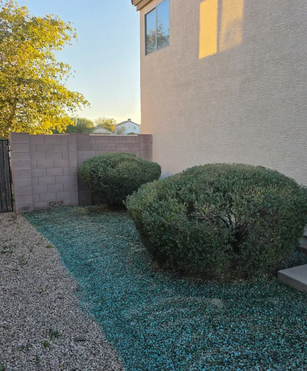 Well-maintained lawn with trimmed shrubs outside blue house.