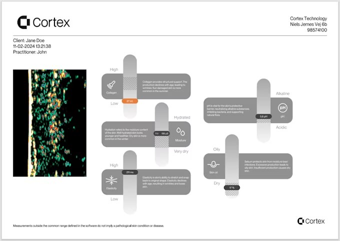 A DermaLab Aesthetic result page showing an ultrasound image alongside scales for collagen, hydration, elasticity, pH and sebum