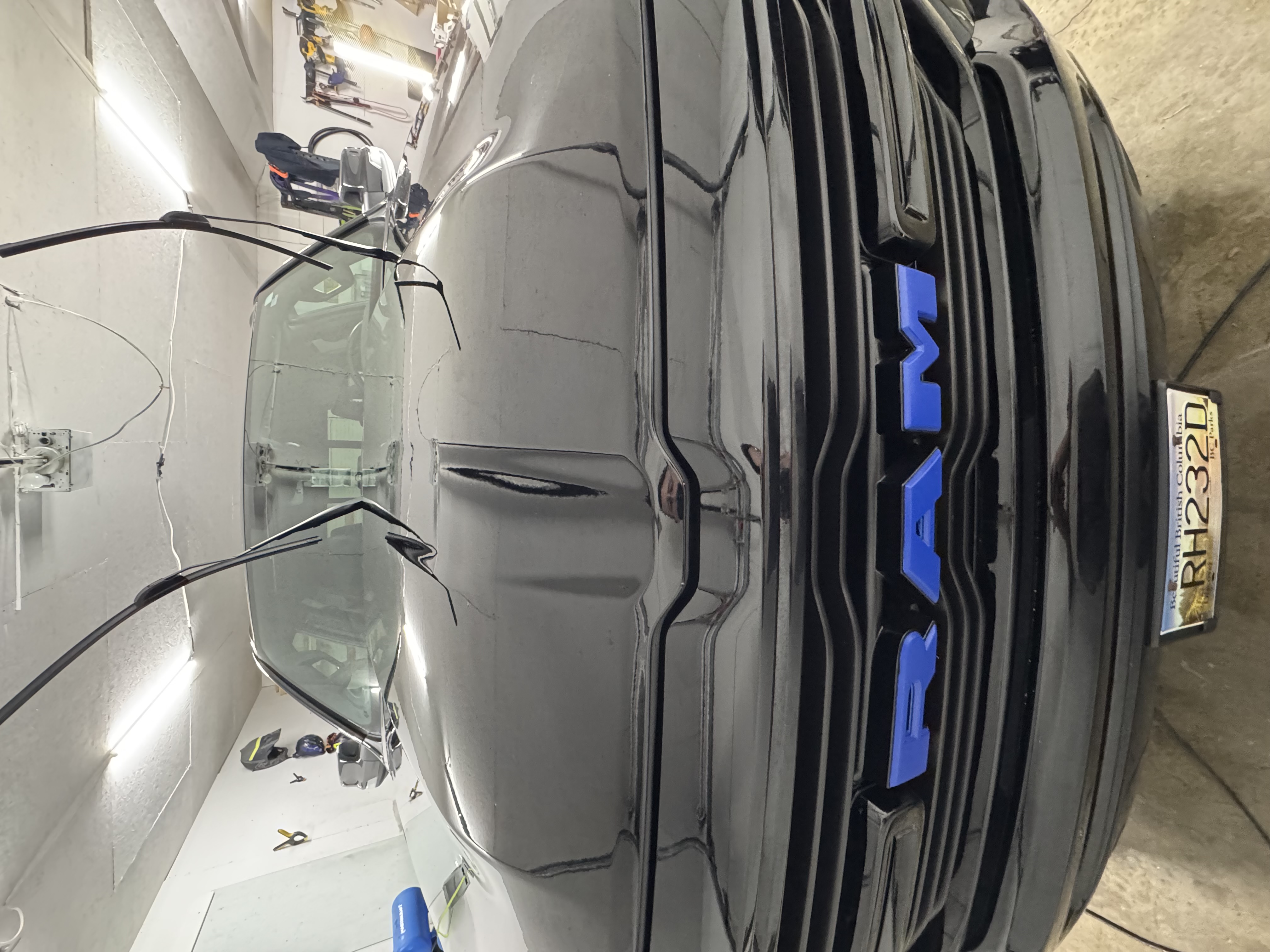 Paint Protection Film