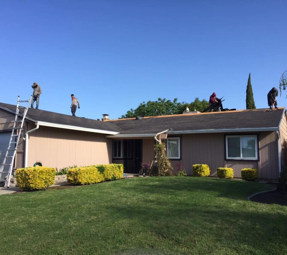 Solar Panel Cleaning