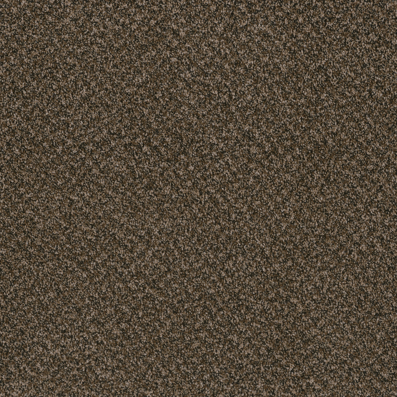 Style 5315 Black and Tan Frieze Carpet - In-Stock Logan County AR