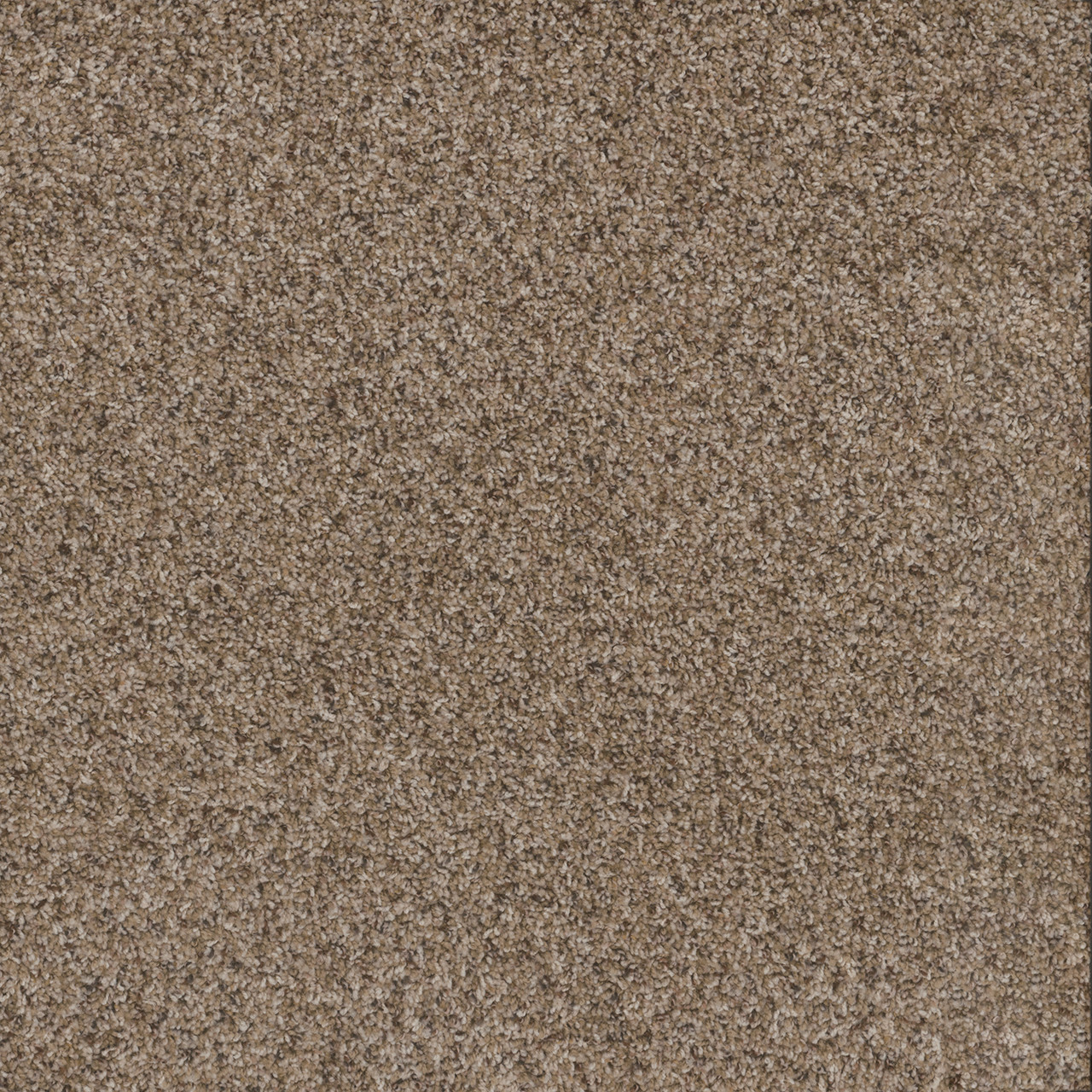 Briarwood 5315 Frieze Carpet In-Stock Paris AR