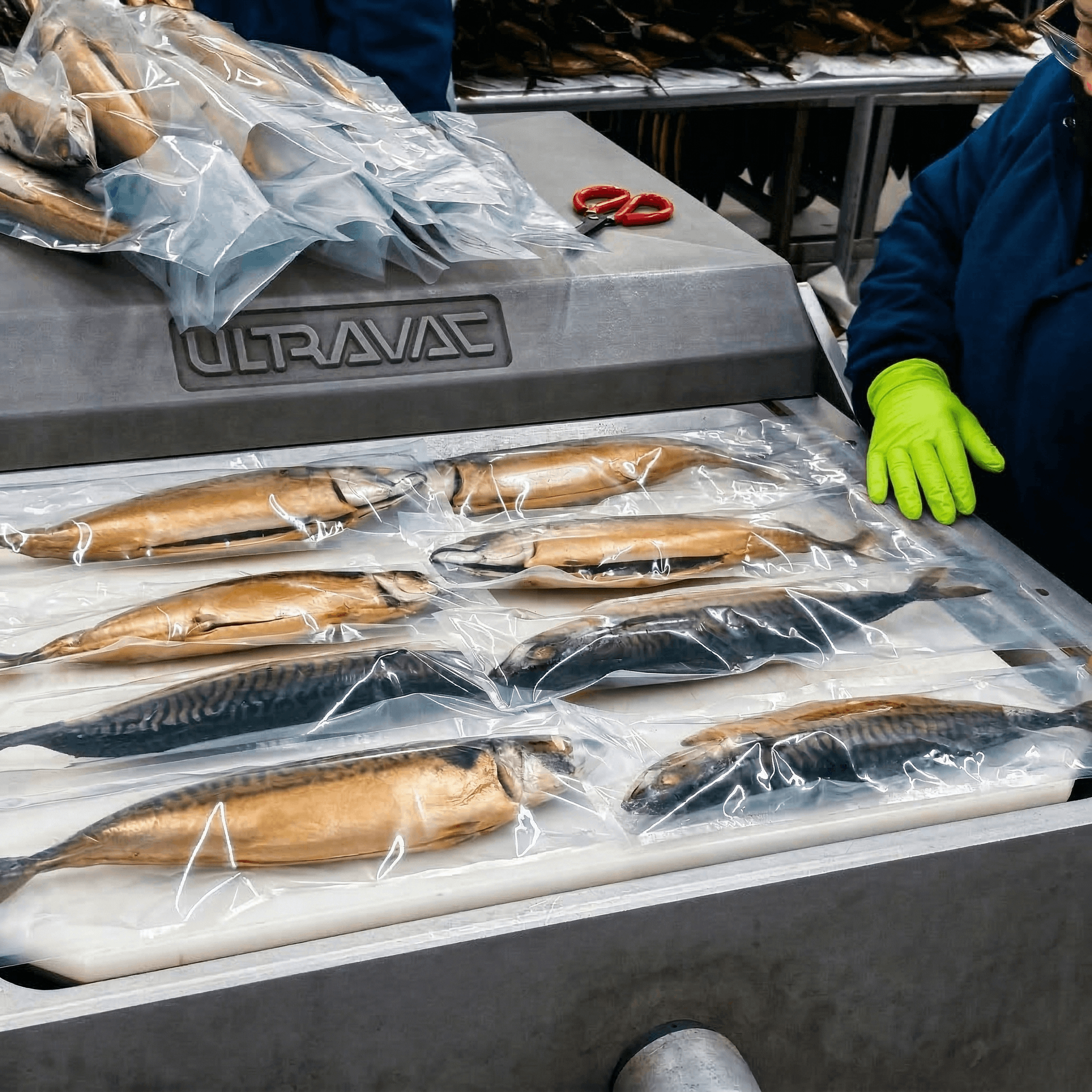 North Fish USA facility