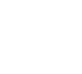 Socias y facilitadoras Switch Mind