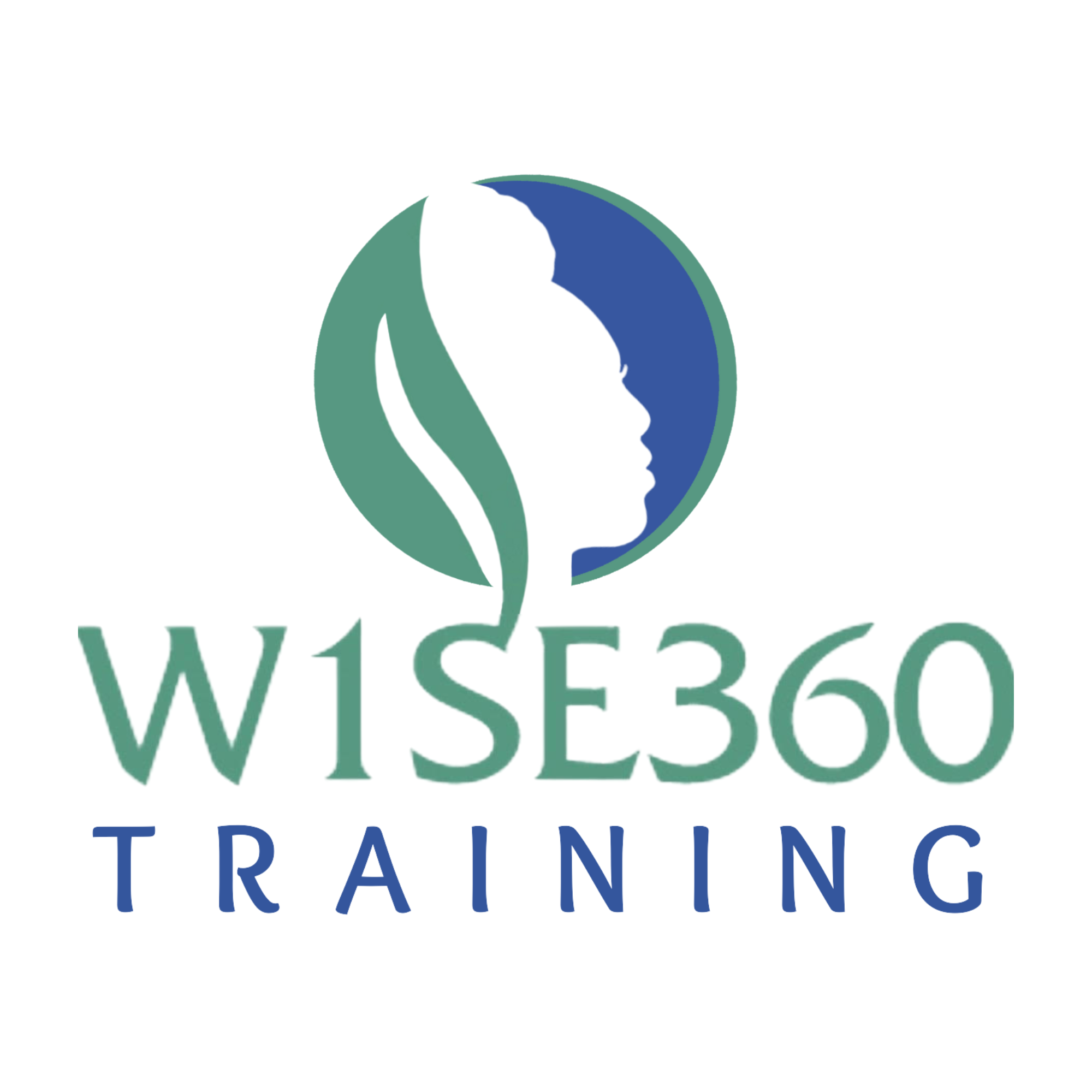 W1SE Logo