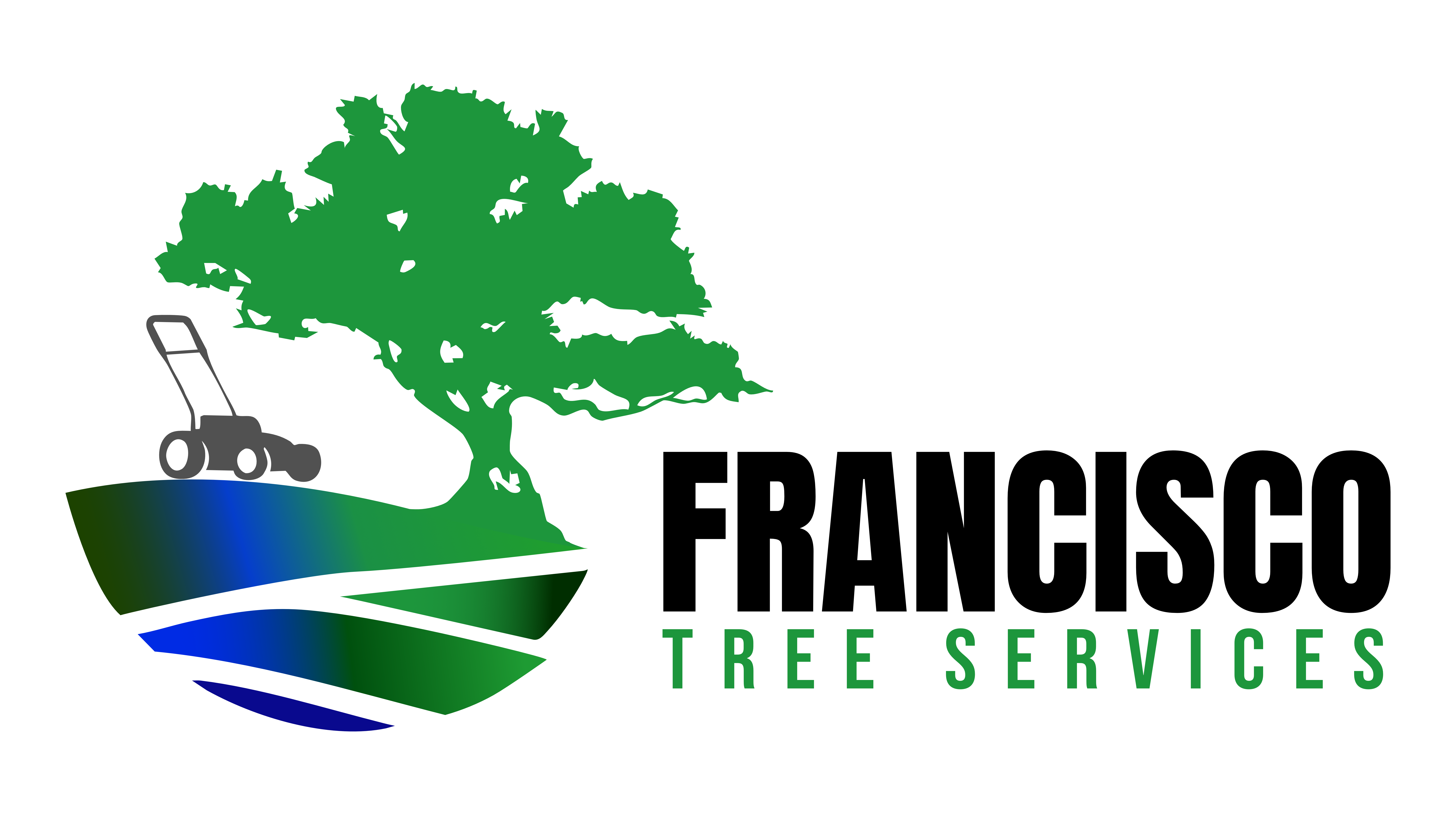 Logo FTS