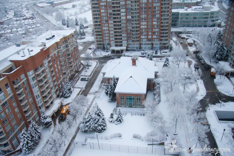 Mayfair on the Green, a condominium managed by Nadlan-Harris