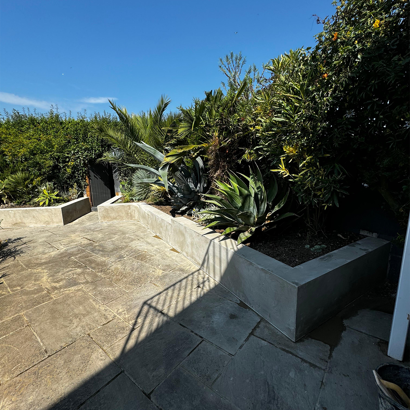 Landscaped garden path with structured planting