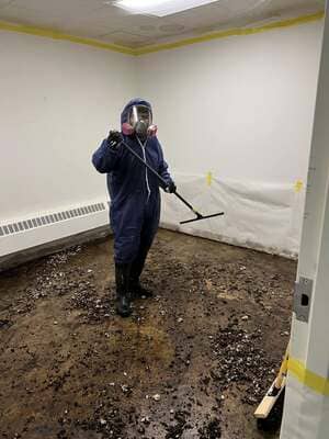 Mold Remediation in Hendersonville, NC